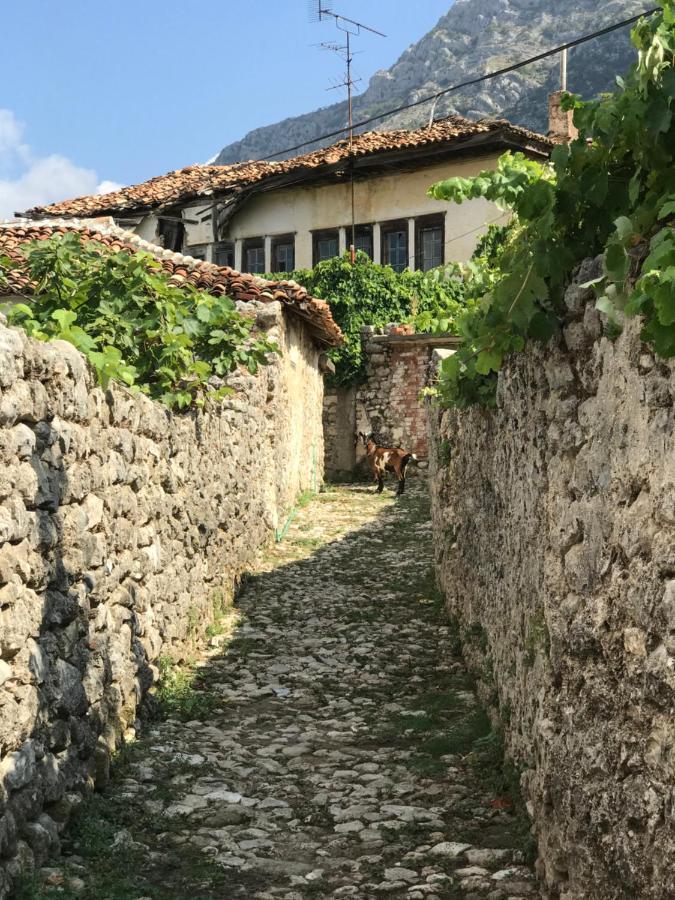 Krujë Kaloshi Villa מראה חיצוני תמונה